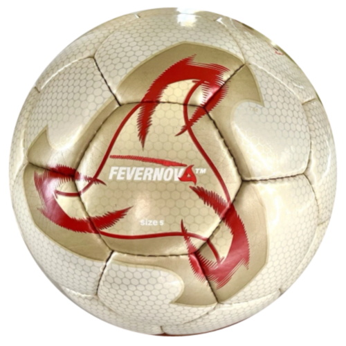 Coupe du Monde 2002